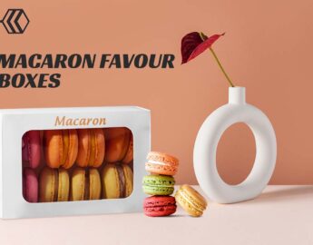 macaron favour boxes