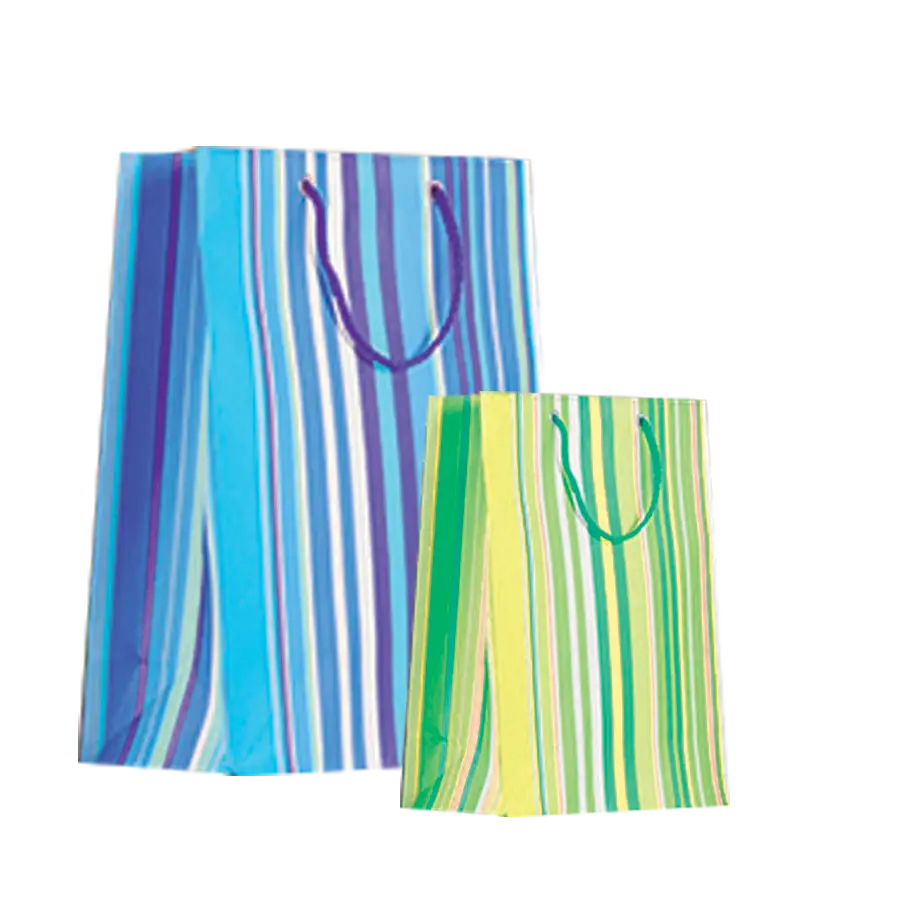 paper gift bag with handles