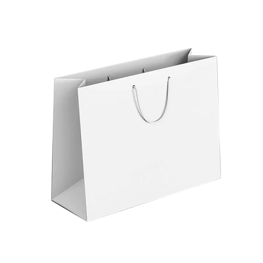 white paper bags with handles