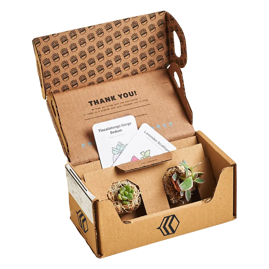 Ecommerce Subscription Boxes