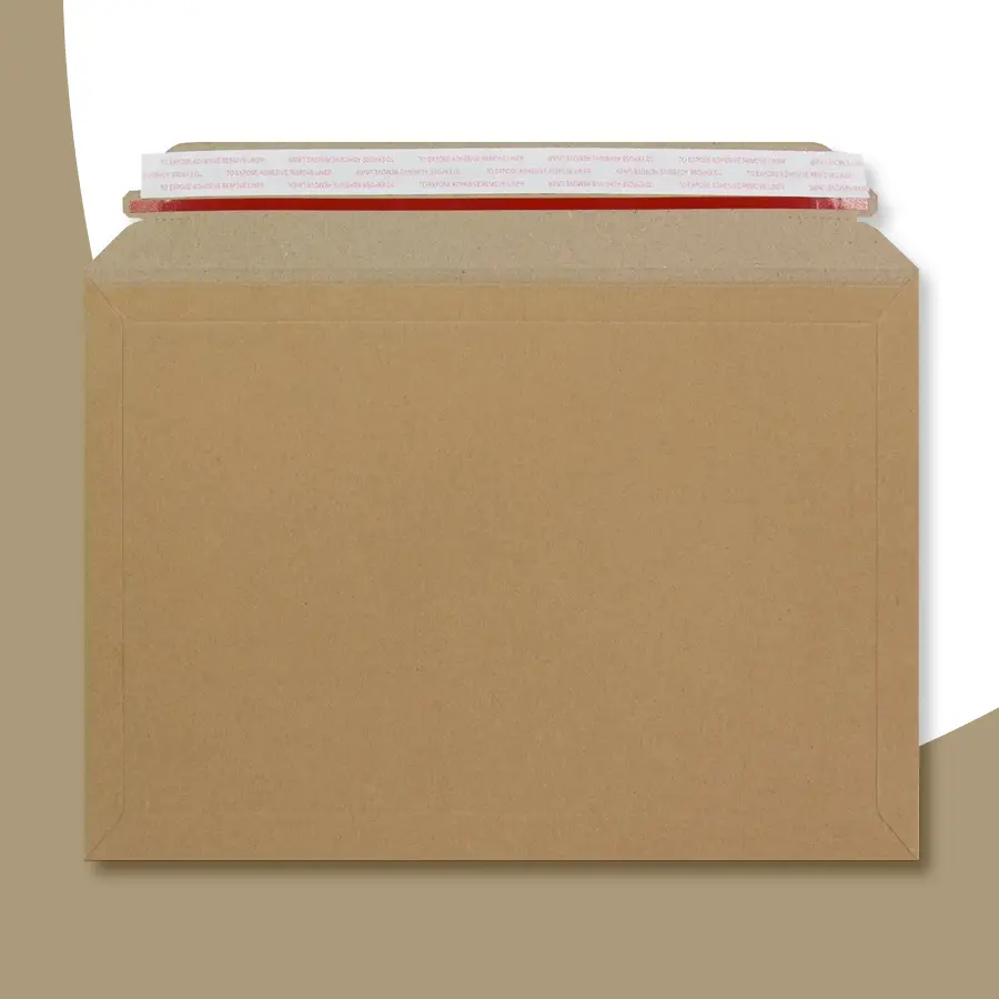 cardboard envelope packaging