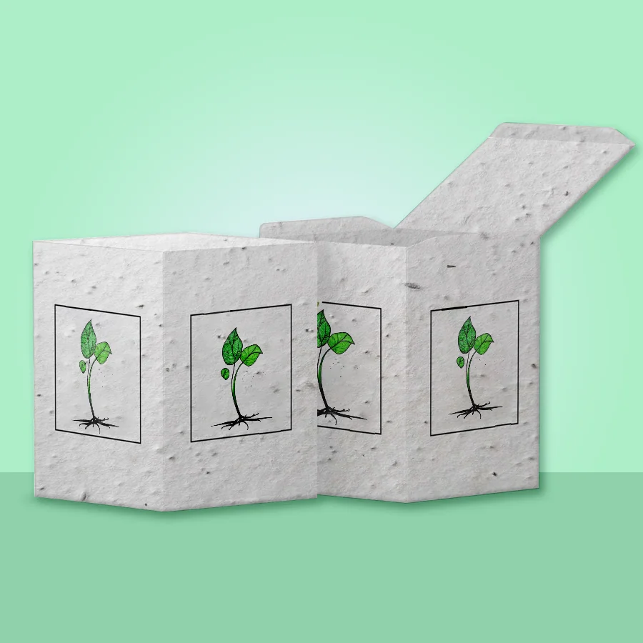 Seed Paper Boxes 