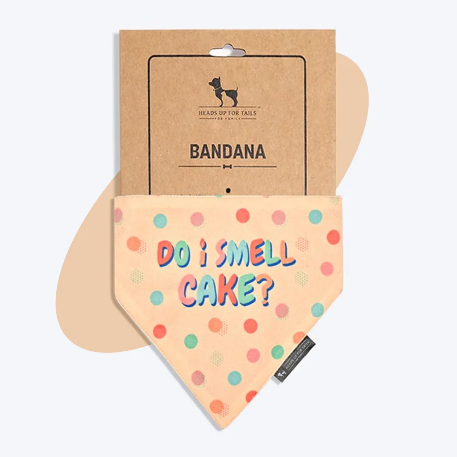 dog bandana packaging