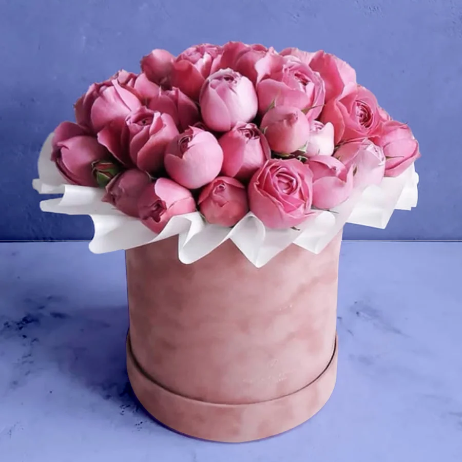 large round flower boxes