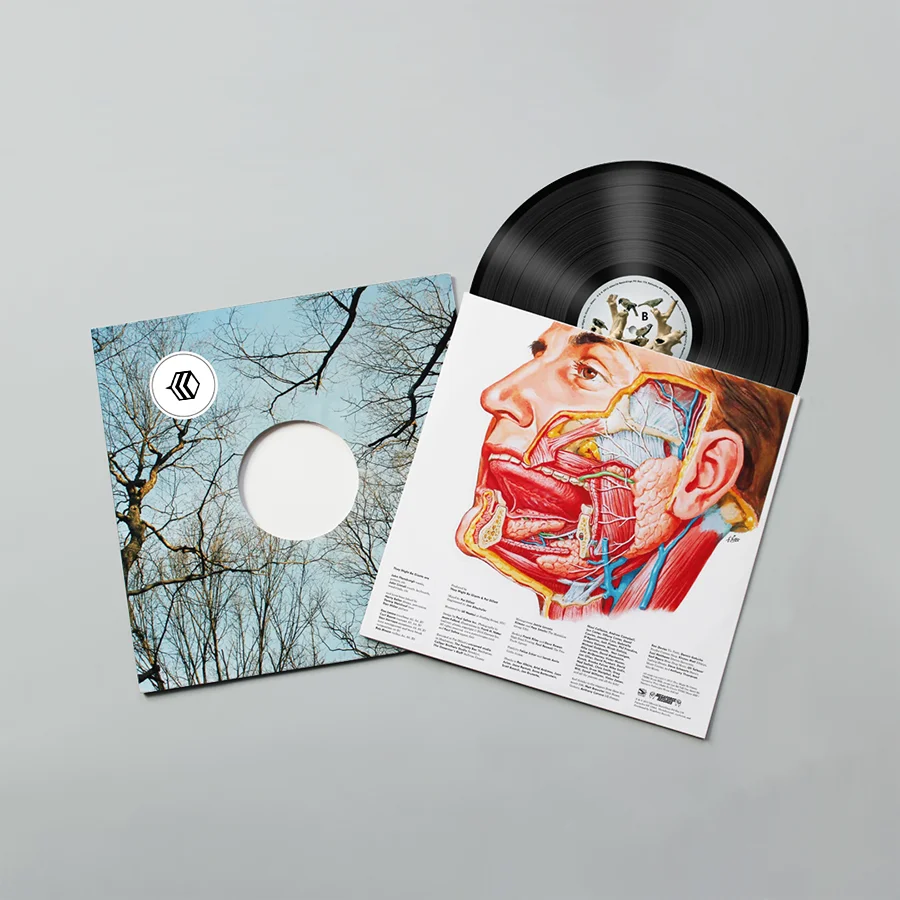 custom printed vinyl album packaging