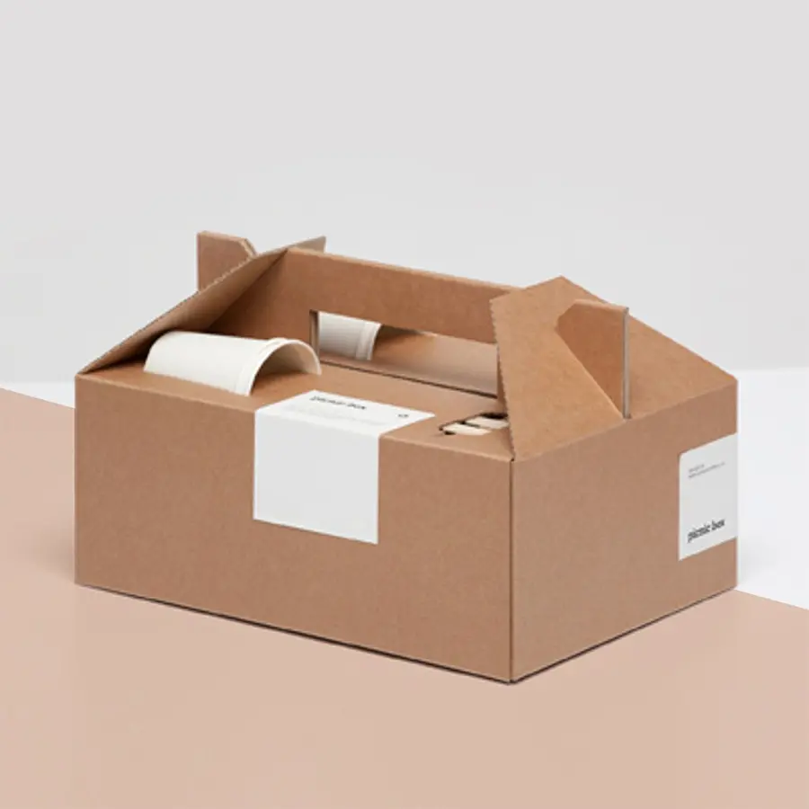 Takeaway Picnic Boxes